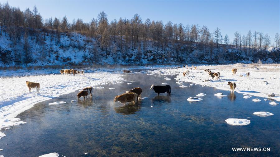 CHINA-INNER MONGOLIA-ARXAN-HALHA RIVER-WINTER SCENERY (CN)