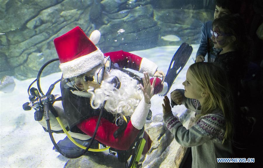 CANADA-TORONTO-SANTA CLAUS-DIVING