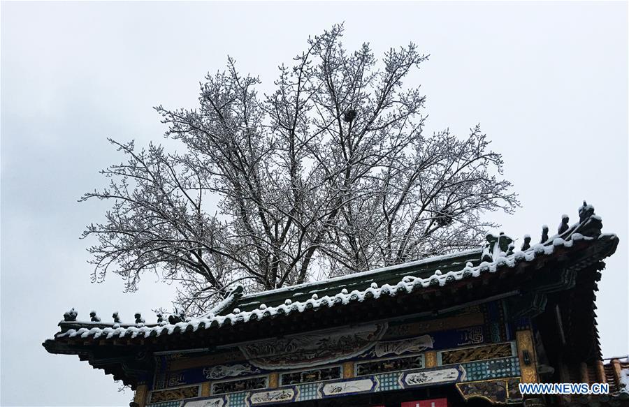 CHINA-BEIJING-SNOW SCENERY (CN)