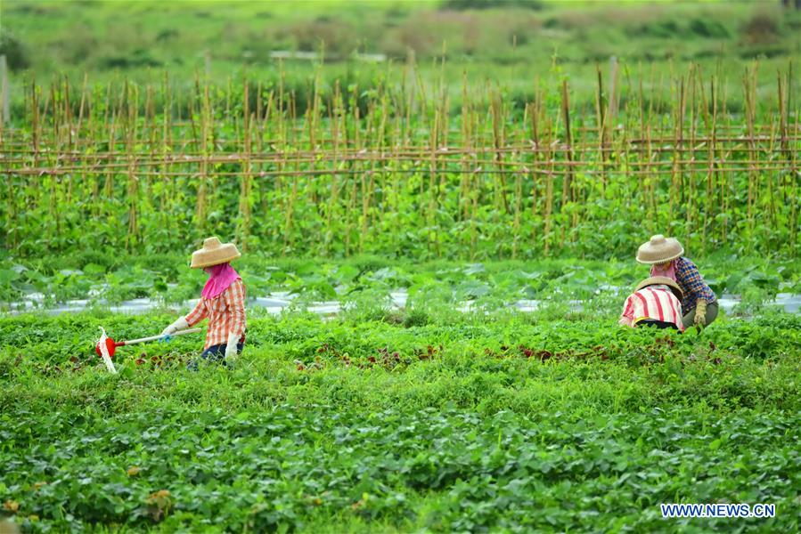 #CHINA-SPRING-FARMING (CN)