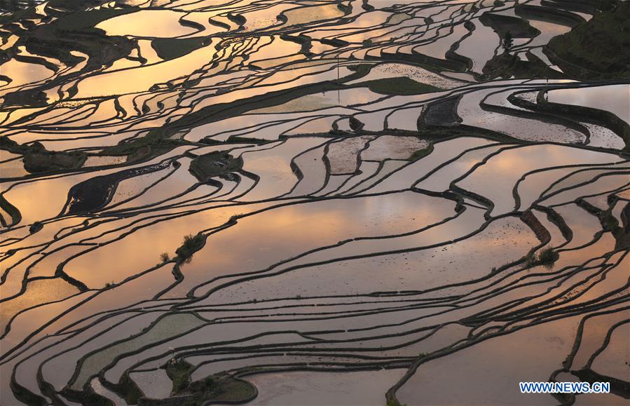 #CHINA-YUNNAN-TERRACED FIELD-SCENERY (CN)