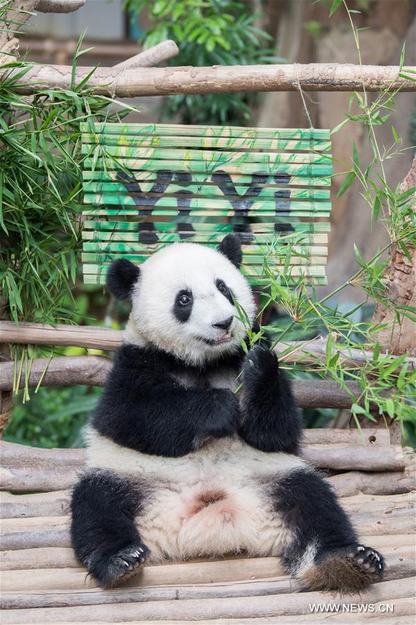 MALAYSIA-KUALA LUMPUR-GIANT PANDA CUB-NAMING-YI YI