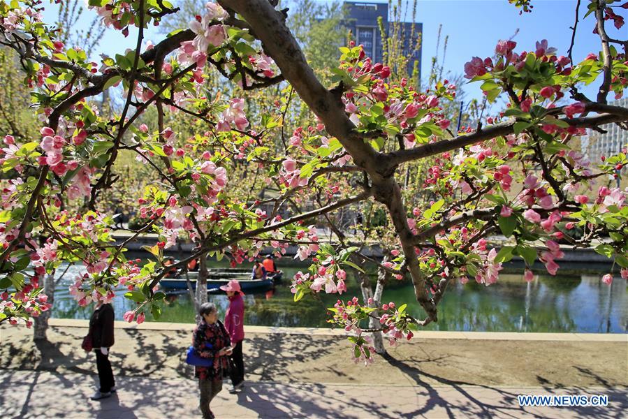 #CHINA-SPRING-LEISURE-FLOWER (CN)