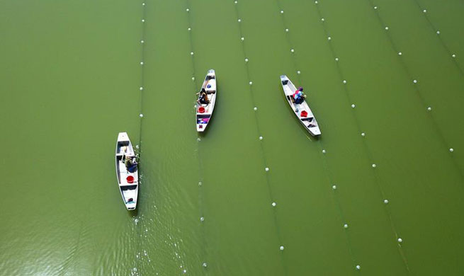 People work at pearl farm in reservoir in E China's Jiangsu