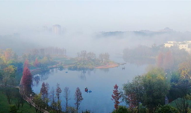 Fog scenery at park in Guiyang, China's Guizhou