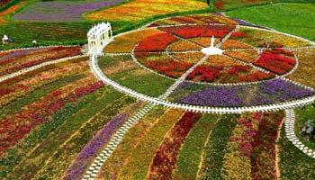 Tourists view flowers in central China's village