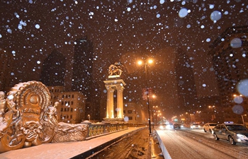 Tianjin greets first snowfall this winter