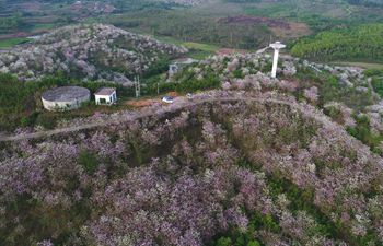 Spring scenery of Nanning, south China's Guangxi