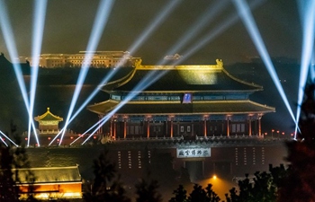 Palace Museum opens Lantern Festival night tours for first time