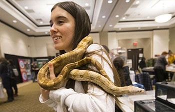 Highlights of 2019 Toronto Reptile Expo