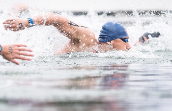 7th CISM Military World Games: men's 5km of open water