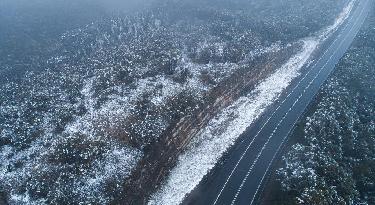 悉尼迎雪