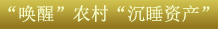 關鍵字3：“喚醒”農(nóng)村“沉睡資產(chǎn)”