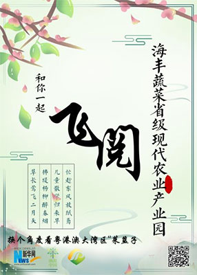 飛閱海豐蔬菜現(xiàn)代農(nóng)業(yè)產(chǎn)業(yè)園