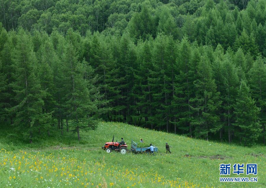 （壯闊東方潮 奮進(jìn)新時(shí)代——慶祝改革開(kāi)放40年）（4）美麗中華大地書(shū)寫(xiě)綠色傳奇