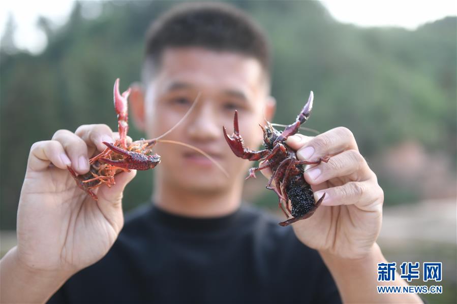 （在習(xí)近平新時(shí)代中國特色社會主義思想指引下·慶祝改革開放40周年·綠色發(fā)展·圖文互動）（2）吹盡狂沙始到金——綠色發(fā)展之“金”的故事