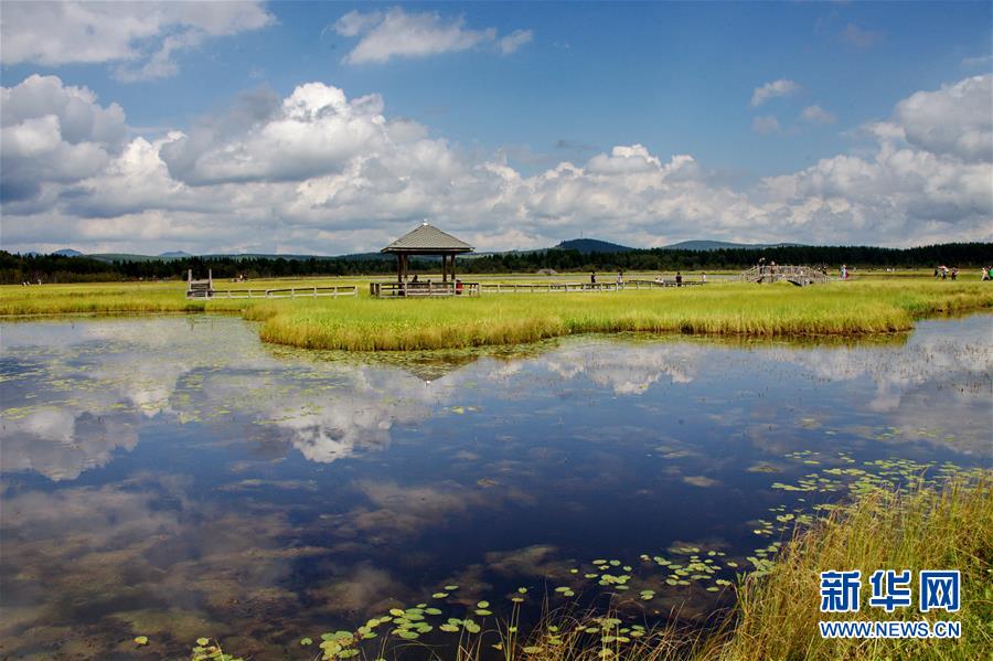 （新華全媒頭條·圖文互動(dòng)）（2）那一抹綠色，走進(jìn)越來(lái)越多人心里——河北塞罕壩續(xù)寫新時(shí)代綠色傳奇