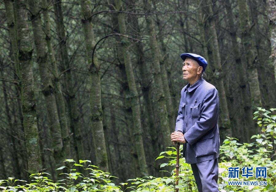 （改革先鋒風采·圖文互動）（1）楊善洲：綠了荒山造福百姓的“草鞋書記”