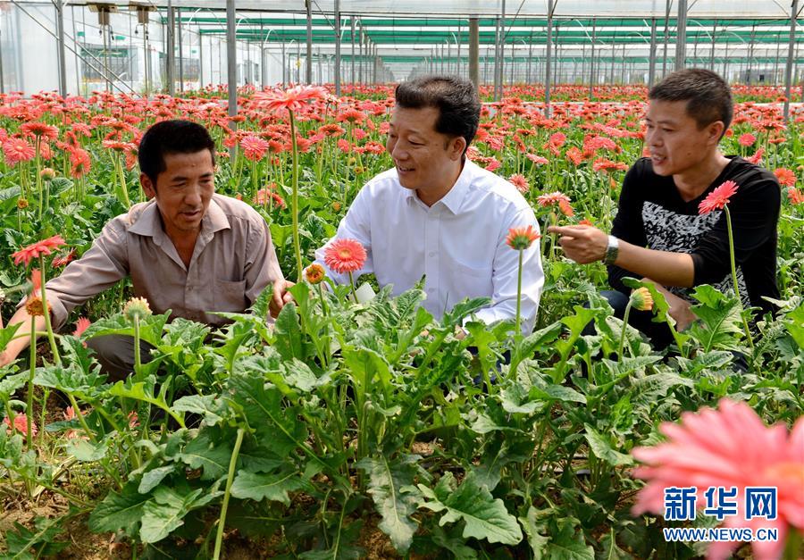 （新華全媒頭條·愛國情 奮斗者·圖文互動）（8）致敬，為祖國獻(xiàn)身的英雄！