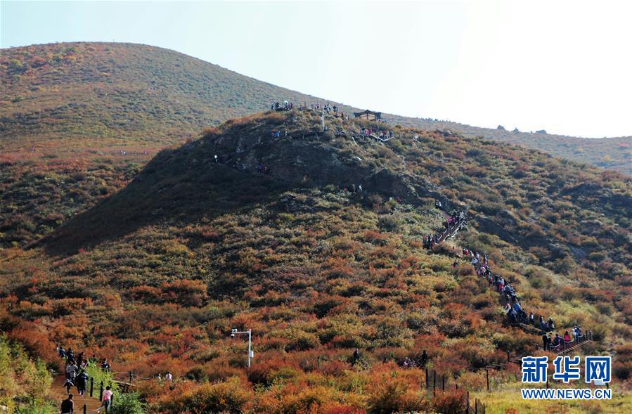 （城市綠道建設(shè)·圖文互動）（2）青城登山步道：踏遍青山享美景 生態(tài)綠道助脫貧