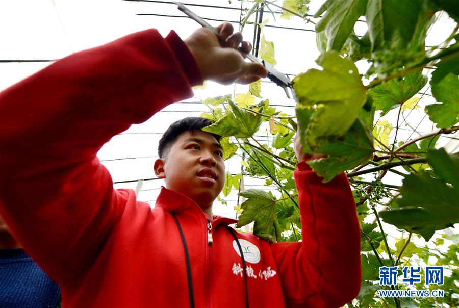 （愛國情 奮斗者·圖文互動）（8） “解民生之多艱，育天下之英才”——中國農大師生扎根田野書寫奉獻之歌