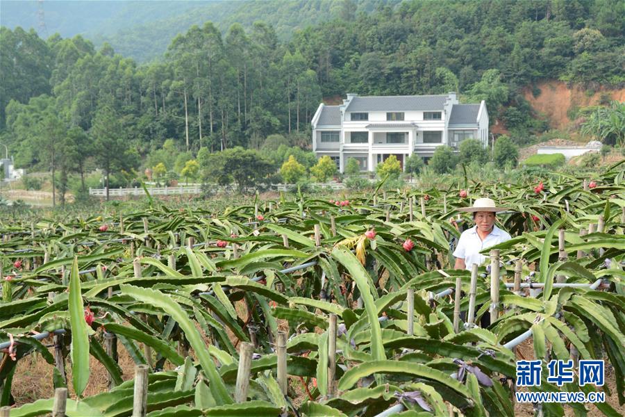 （在習(xí)近平新時(shí)代中國(guó)特色社會(huì)主義思想指引下——新時(shí)代新作為新篇章·總書記關(guān)心的百姓身邊事·圖文互動(dòng)）（6）大污染變身“大寶藏”：治理畜禽糞污，他們這樣干！