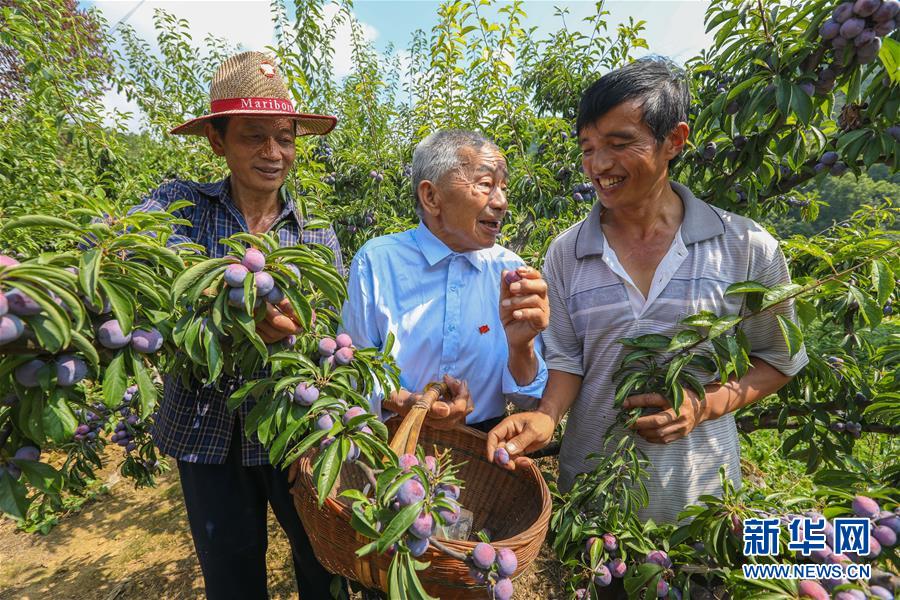 （新華全媒頭條·圖文互動(dòng)）（1）凝聚民族復(fù)興的精神偉力——以習(xí)近平同志為核心的黨中央重視思想道德建設(shè)關(guān)心關(guān)愛道德模范紀(jì)實(shí)