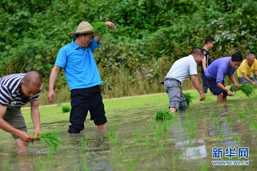 （新華全媒頭條·圖文互動(dòng)）（8）干部去哪兒了？——貴州干部大規(guī)模下沉脫貧攻堅(jiān)一線紀(jì)實(shí)