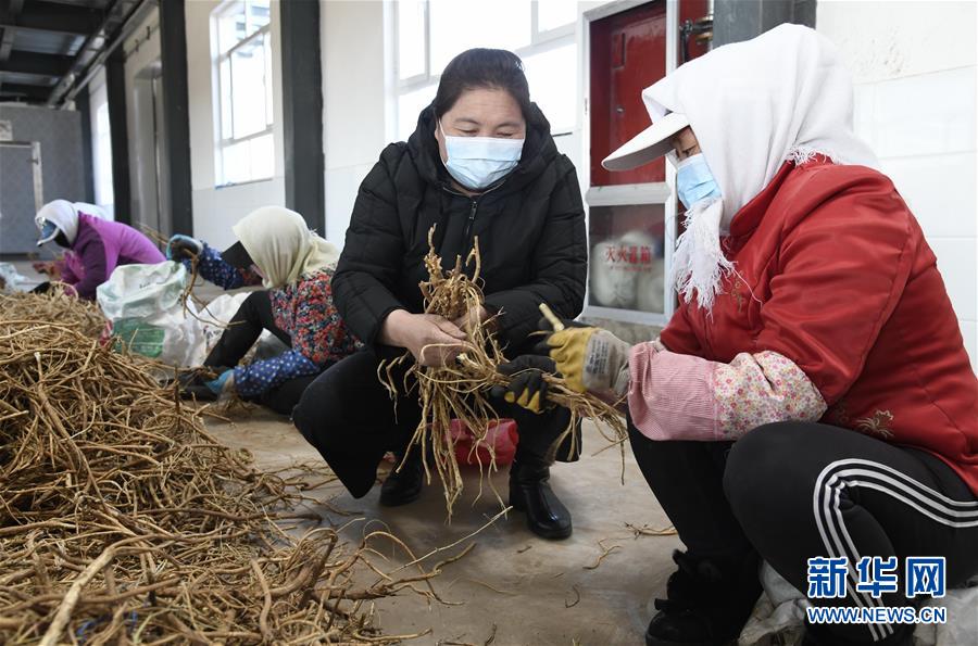 （新華全媒頭條·圖文互動）（2）特殊時期，他們這樣履職——全國人大代表這個春天在行動