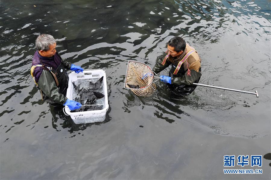 （決戰(zhàn)決勝脫貧攻堅·圖文互動）（6）多重保障 不漏一人——貴州一個脫貧“摘帽”縣的防貧機(jī)制探索