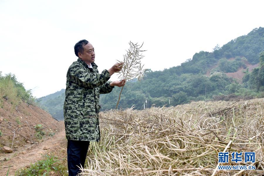 （代表委員履職·圖文互動）（1）“我是農民代表，始終關注農村”——全國人大代表沈昌健的履職故事