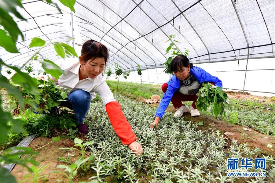 （新華全媒頭條·圖文互動）（5）呂梁新傳奇