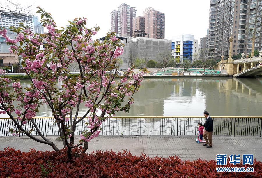 （新華全媒頭條·走向我們的小康生活·圖文互動）（12）城市，讓人民生活更美好