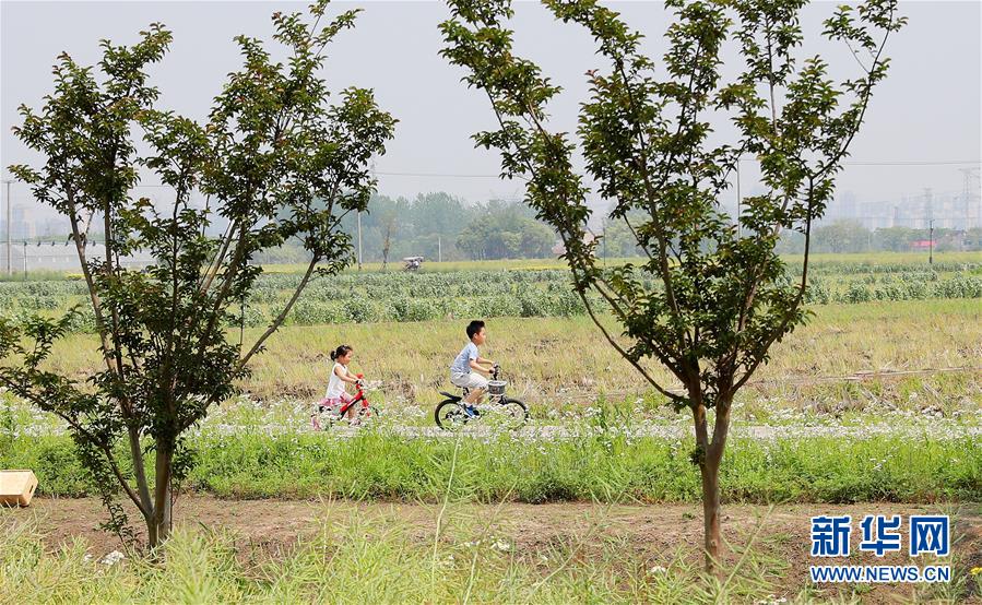 （新華全媒頭條·走向我們的小康生活·圖文互動）（14）城市，讓人民生活更美好