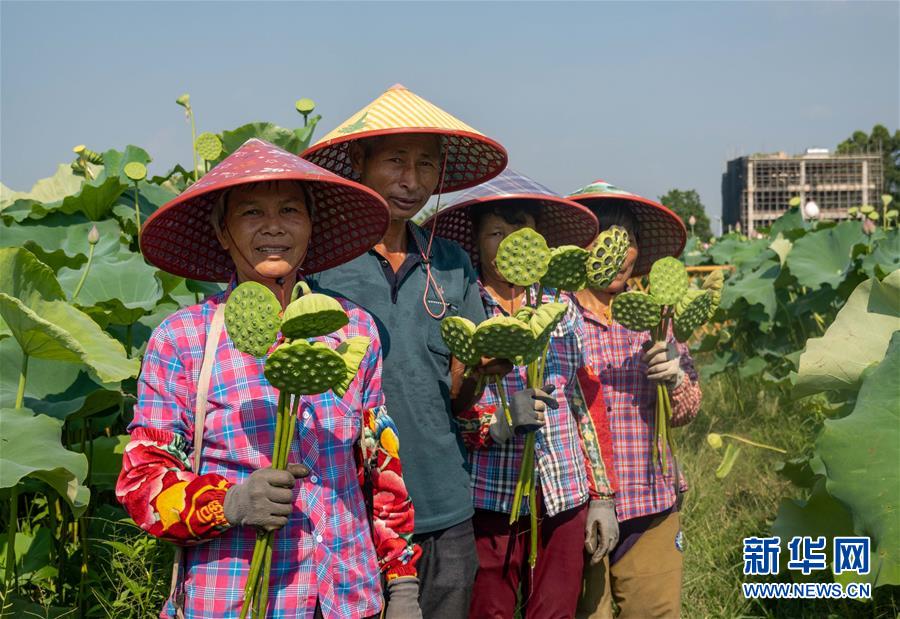 （新時(shí)代文明實(shí)踐·圖文互動）（3）文明之花別樣紅——來自廣東博羅的新時(shí)代文明實(shí)踐報(bào)告