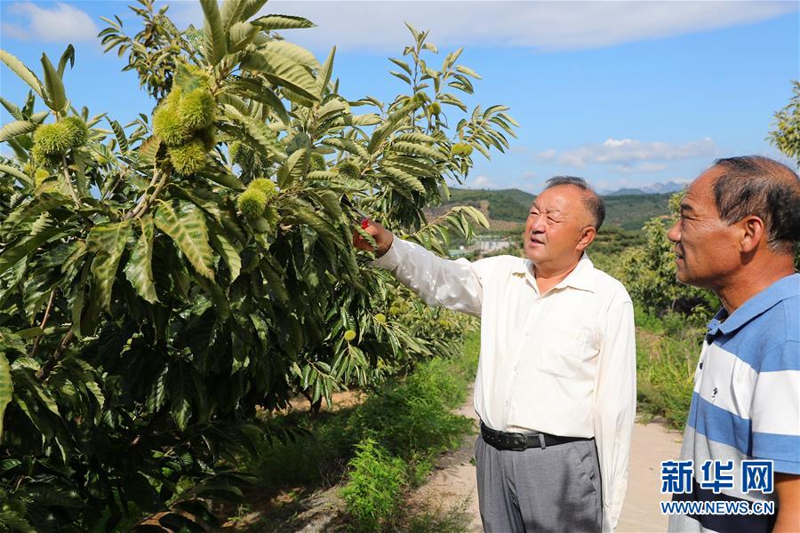 （新華全媒頭條·走向我們的小康生活·圖文互動）（11）長城腳下，小康村串成“珍珠鏈”