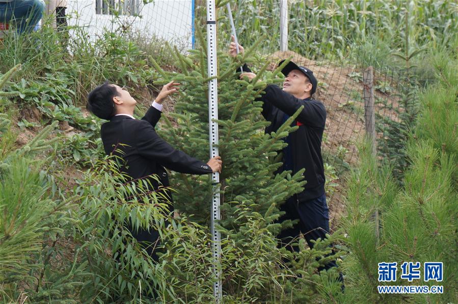 （決戰(zhàn)決勝脫貧攻堅·圖文互動）（2）甘肅定西黃土高坡上，有片“福州林”