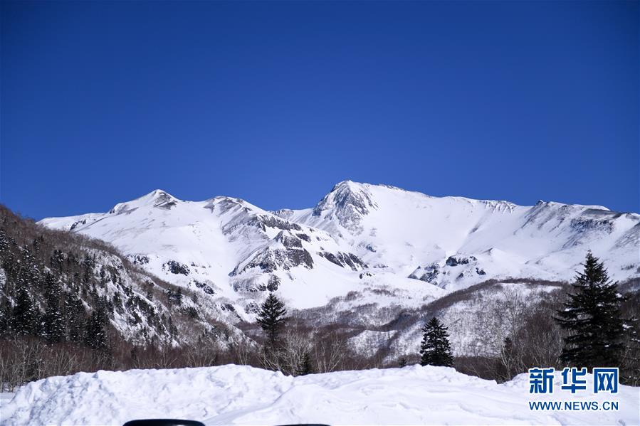 （圖文互動）（6）長白山60年書寫“生態(tài)答卷”