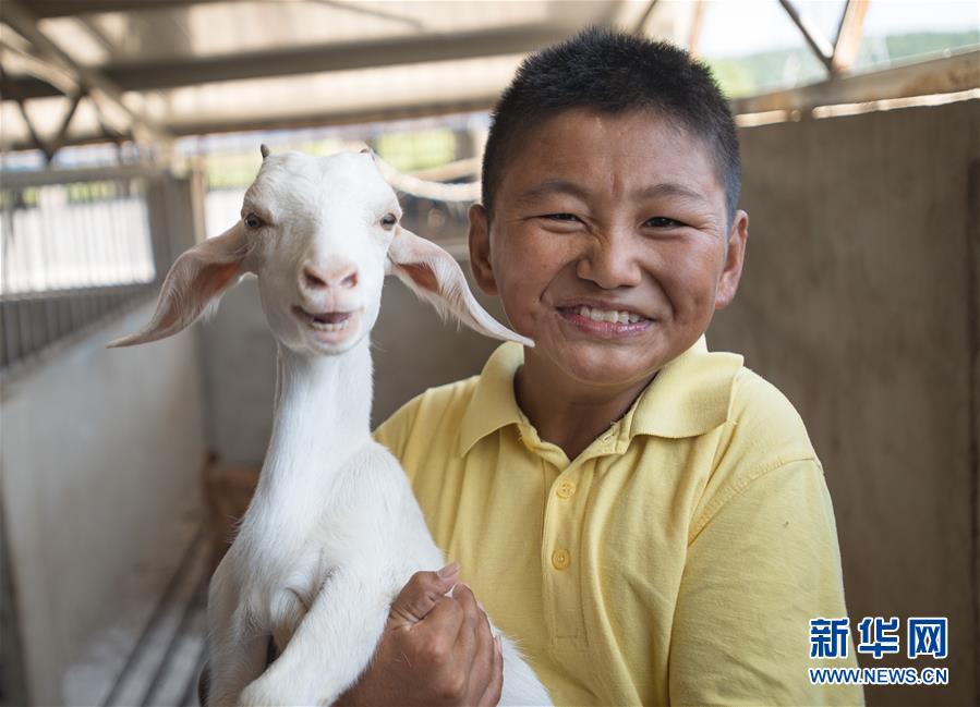 （新華全媒頭條·走向我們的小康生活·圖文互動）（5）特殊之年，荊楚大地書寫不平凡的答卷