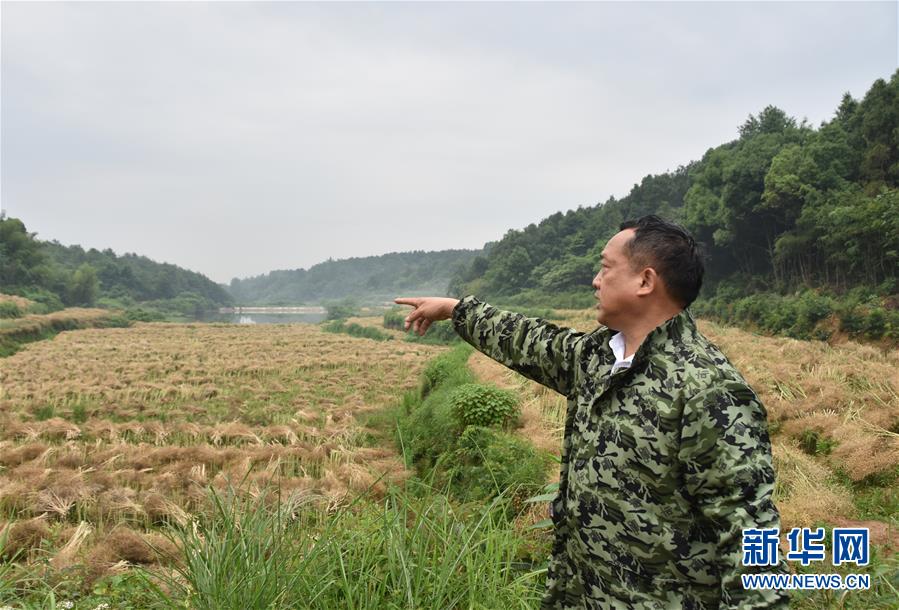 （代表委員履職·圖文互動(dòng)）（2）“我是農(nóng)民代表，始終關(guān)注農(nóng)村”——全國人大代表沈昌健的履職故事