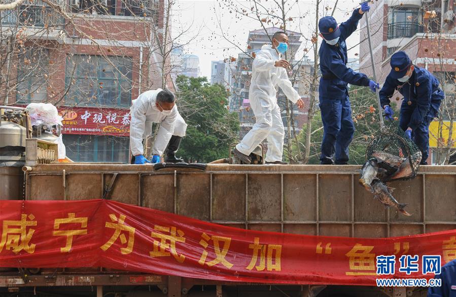 （新華全媒頭條·圖文互動）（12）從人民中汲取磅礴力量——習(xí)近平總書記同出席2020年全國兩會人大代表、政協(xié)委員共商國是紀(jì)實