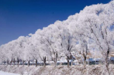 全國初雪時間表出爐 看看你離初雪還有多遠？