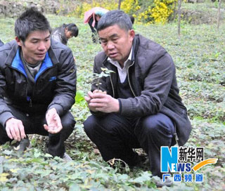 “大山的脊梁”吳天來：挺直腰桿帶領群眾共同富裕