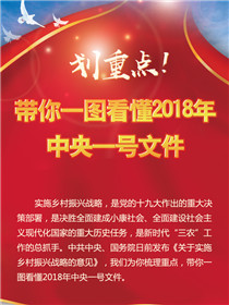 劃重點(diǎn)！帶你一圖看懂2018年中央一號文件