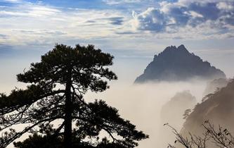 安徽黃山秋意正濃 云海縹緲層林盡染