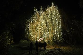 “柏林圣誕花園”燈光秀開(kāi)幕