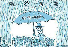 我國農(nóng)業(yè)保險業(yè)務(wù)規(guī)模居全球第二