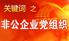 王京清：非公企業(yè)建立黨組織服務企業(yè)發(fā)展、服務員工