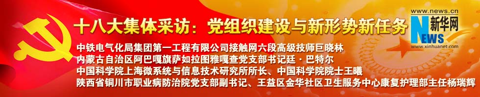 十八大集體采訪:黨組織建設與新形勢新任務