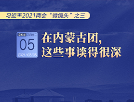 習近平2021兩會“微鏡頭”之三 3月5日 在內(nèi)蒙古團，這些事談得很深